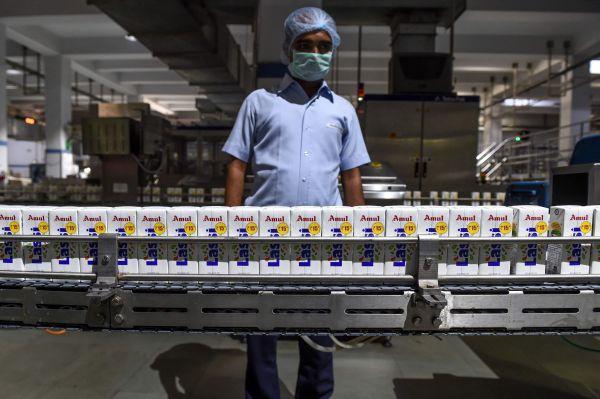 资料图片:印度艾哈迈达巴德郊外一家奶制品生产线.(法新社)